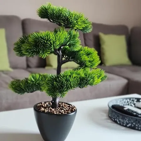 Marianna Apartman Apartmán *